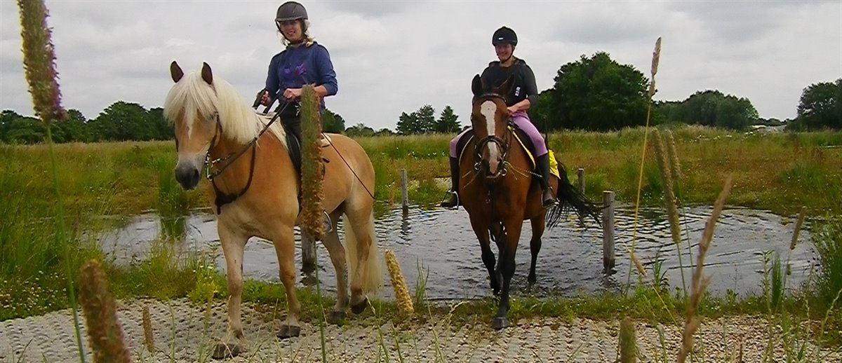 paard rijden