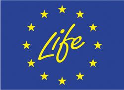 Logo Life+