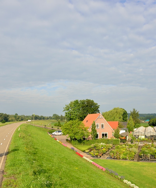 Grebbedijk