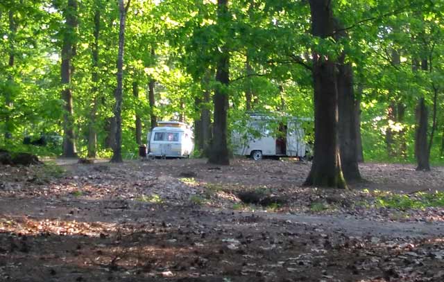 natuurcamping-veluwe-quadenoord