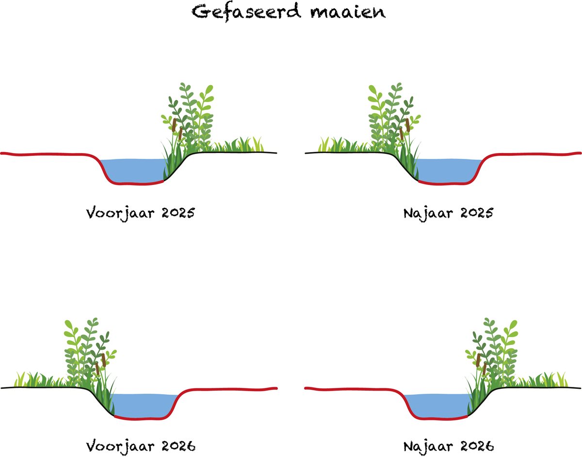 gefaseerd maaien